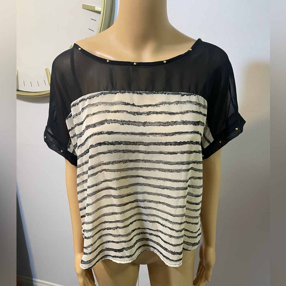 entro sheer crop top size L